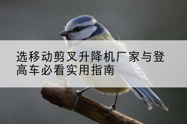 普格电动升降机厂家-选移动剪叉升降机厂家与登高车必看实用指南
