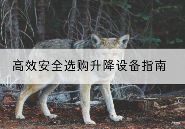 普格升降货梯厂家推荐-*安全选购升降设备指南