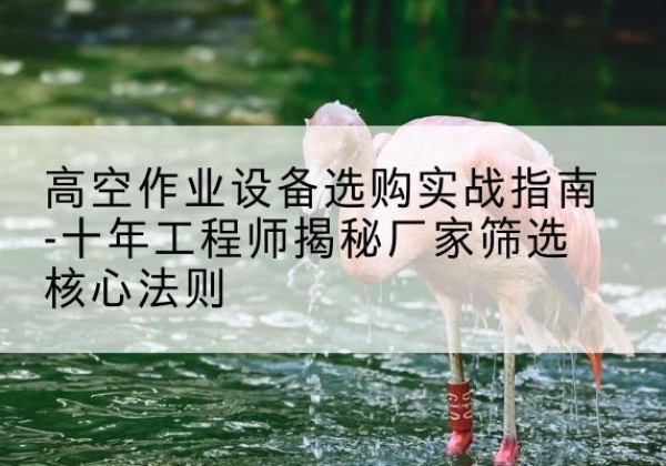 普格剪叉式升降机厂家-高空作业设备选购实战指南-十年工程师揭秘厂家筛选核心法则